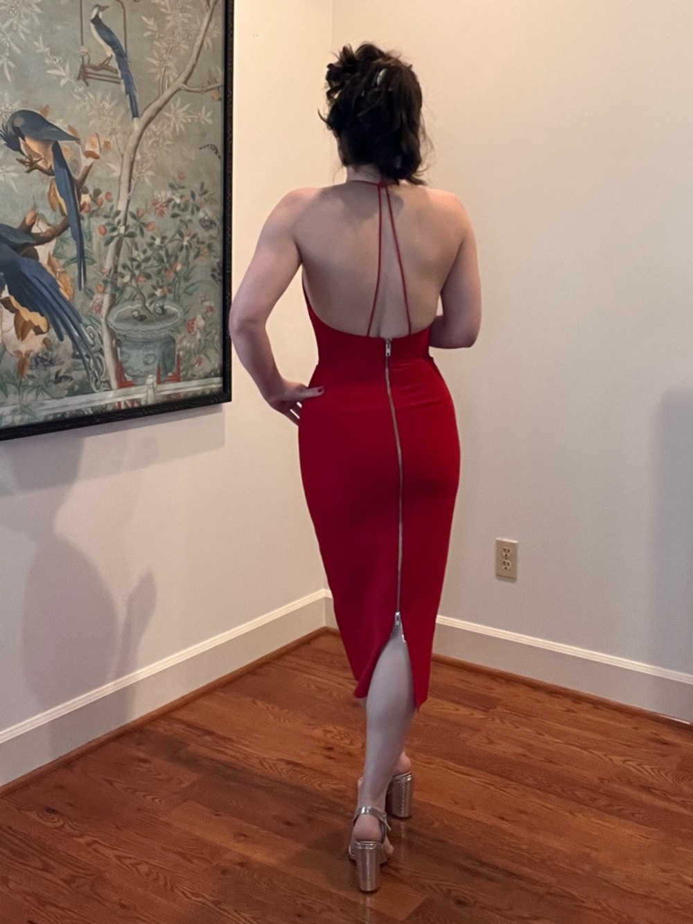 Alex Perry Red Dress - Picture 4 of 16